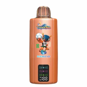 BANG VAPORSEA 300000 Puffs 300K 6 In 1 Rechargeable Disposable Vapes Wholesale Bulk Buy Digital Screen DSK092 - Pilt 12