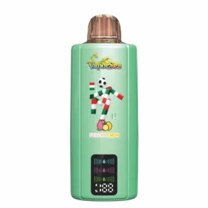 BANG VAPORSEA 300000 Puffs 300K 6 In 1 Rechargeable Disposable Vapes Wholesale Bulk Buy Digital Screen DSK092 - Pilt 8