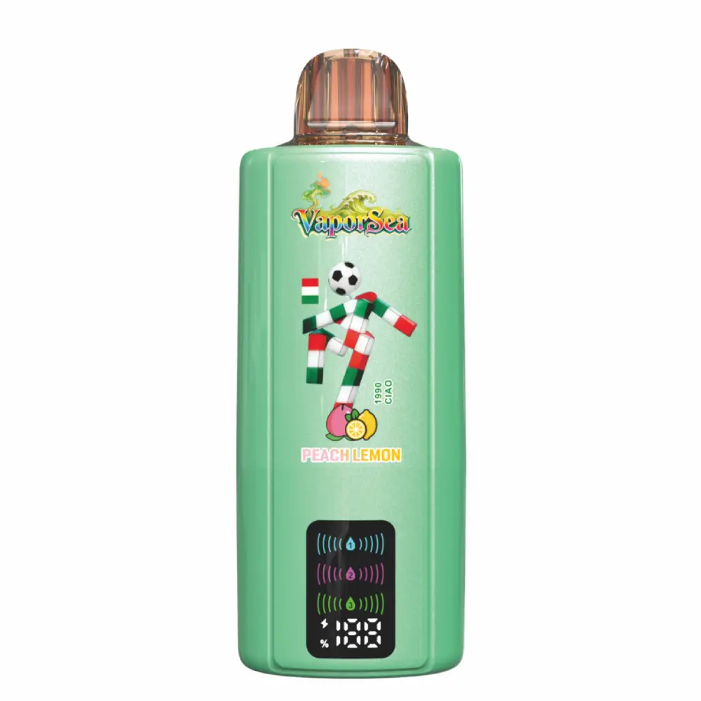 BANG VAPORSEA 300000 Puffs 300K 6 In 1 Rechargeable Disposable Vapes Wholesale Bulk Buy Digital Screen DSK092 - Pilt 8