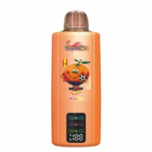 BANG VAPORSEA 300000 Puffs 300K 6 In 1 Rechargeable Disposable Vapes Wholesale Bulk Buy Digital Screen DSK092 - Pilt 6