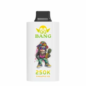 QQ BANG 250000 Puffs DSK095 250K Rechargeable Disposable Vapes Bulk Buy Dual Mesh Smart Screen Original Wholesale - Image 9