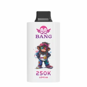 QQ BANG 250000 Puffs DSK095 250K Rechargeable Disposable Vapes Bulk Buy Dual Mesh Smart Screen Original Wholesale - Image 7