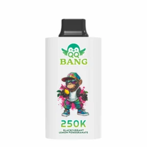 QQ BANG 250000 Puffs DSK095 250K Rechargeable Disposable Vapes Bulk Buy Dual Mesh Smart Screen Original Wholesale - Image 6