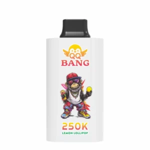 QQ BANG 250000 Puffs DSK095 250K Rechargeable Disposable Vapes Bulk Buy Dual Mesh Smart Screen Original Wholesale - Image 5