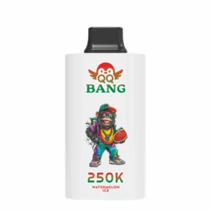 QQ BANG 250000 Puffs DSK095 250K Rechargeable Disposable Vapes Bulk Buy Dual Mesh Smart Screen Original Wholesale - Image 3