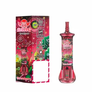 QQ BANG SHISHA 500000 Puffs 500K Rechargeable Disposable Vapes Premium Wholesale Bulk Buy High Capacity Dual Mesh - Bild 2