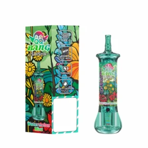 QQ BANG SHISHA 500000 Puffs 500K Rechargeable Disposable Vapes Premium Wholesale Bulk Buy High Capacity Dual Mesh - Bild 3