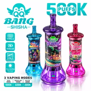 QQ BANG SHISHA 500000 Puffs 500K Rechargeable Disposable Vapes Premium Wholesale Bulk Buy High Capacity Dual Mesh
