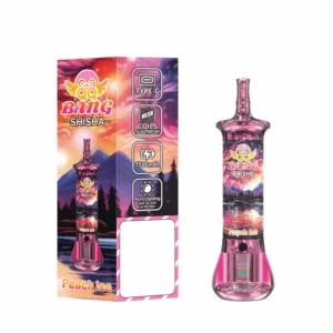 QQ BANG SHISHA 500000 Puffs 500K Rechargeable Disposable Vapes Premium Wholesale Bulk Buy High Capacity Dual Mesh - Bild 11