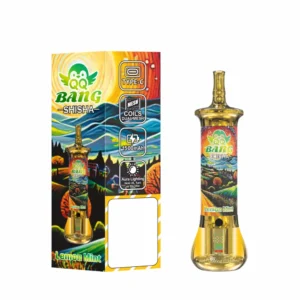 QQ BANG SHISHA 500000 Puffs 500K Rechargeable Disposable Vapes Premium Wholesale Bulk Buy High Capacity Dual Mesh - Bild 9