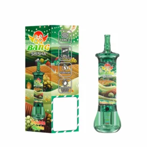 QQ BANG SHISHA 500000 Puffs 500K Rechargeable Disposable Vapes Premium Wholesale Bulk Buy High Capacity Dual Mesh - Bild 6